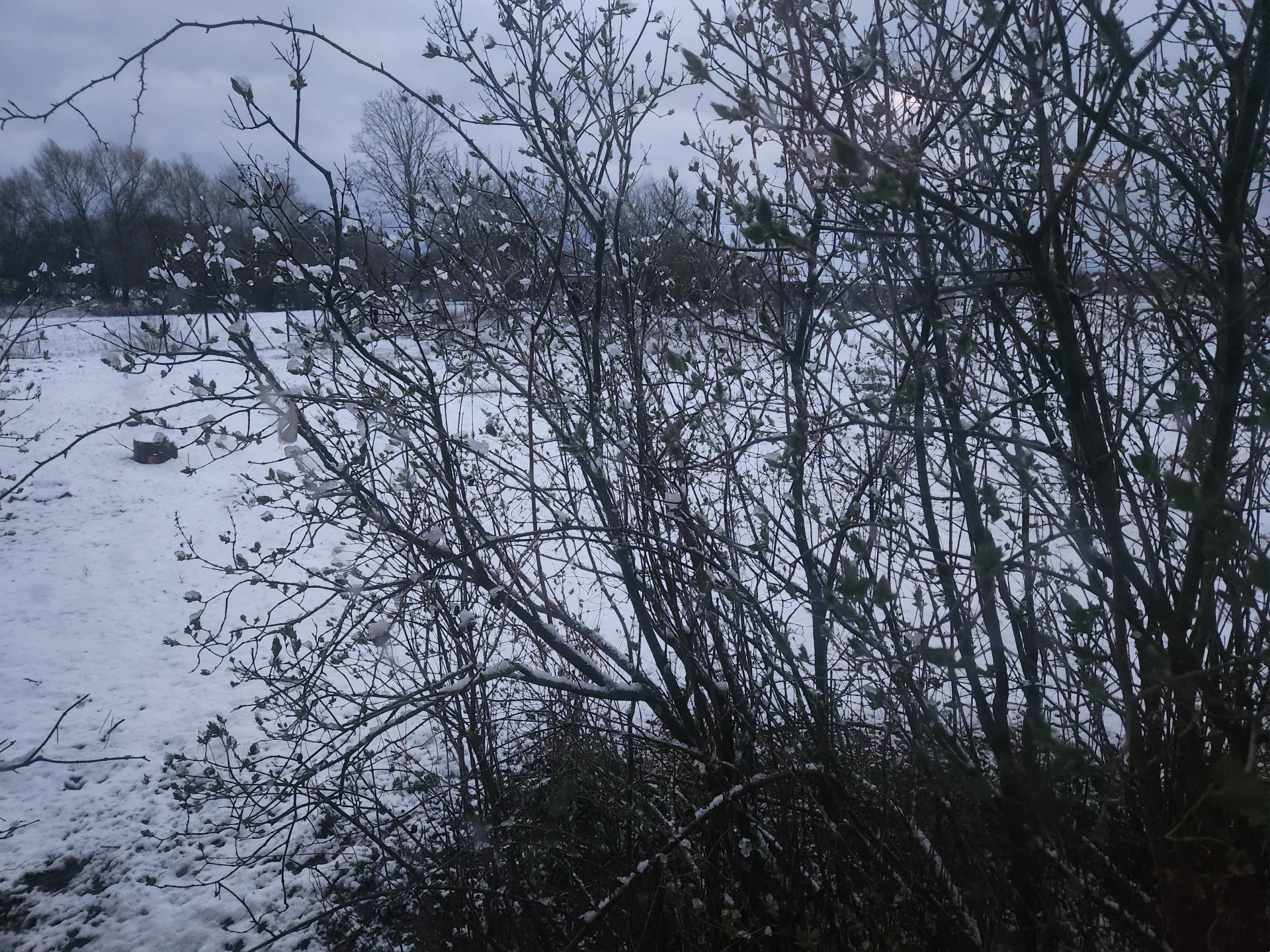 Taken on Samsung Galaxy Z Fold 4